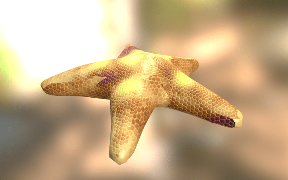 Screenshot 2017-11-17 00.16.56